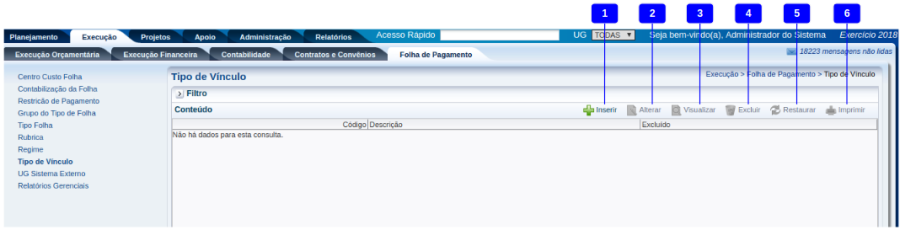 Tipo vinculo-listagem.png