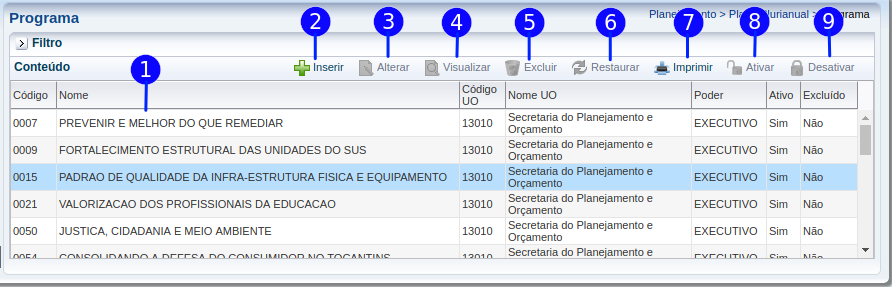 Planejamento - Plano Plurianual - ProgramaCad.png