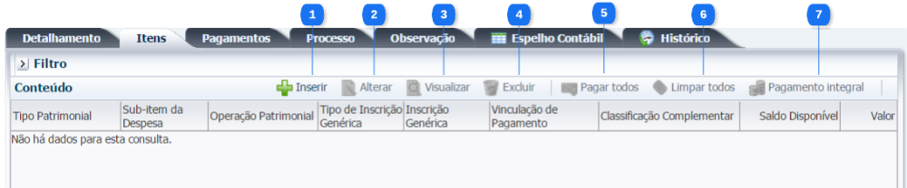 Execução - Execução Financeira - PDOrçamentária (3).png