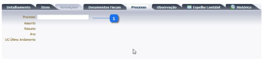 Execução - Execução Orçamentária - NotaLiquidacaoEdit - Processos.jpeg