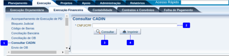 Arquivo:Consultar CADIN.png