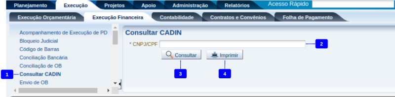 Consultar CADIN.png