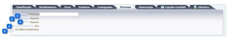 Arquivo:Guia processo.jpg