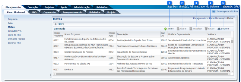Arquivo:Planejamento - Plano Plurianual - MetaCad.png