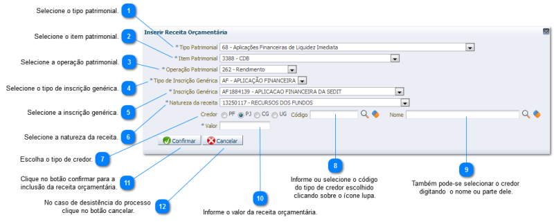 Arquivo:Inserir receita orçamentaria.png