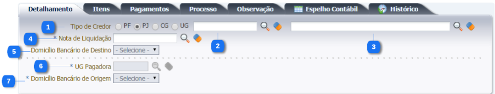 Execução - Execução Financeira - PDOrçamentária (2).png
