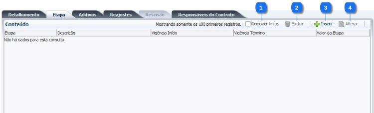 Execução - Contratos e Convênios - ContratoEdit - Etapa1.jpeg